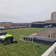 Grønt tag