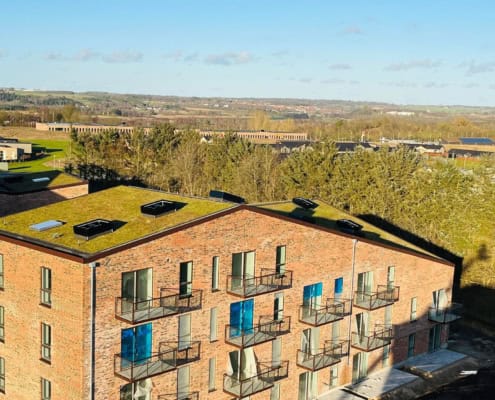 Grønt tag med hældning